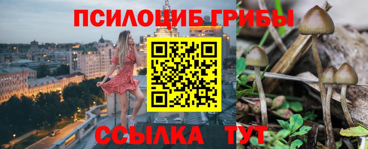 Дмитров  Псилоцибиновые грибы мухоморы  Вход с VPN 